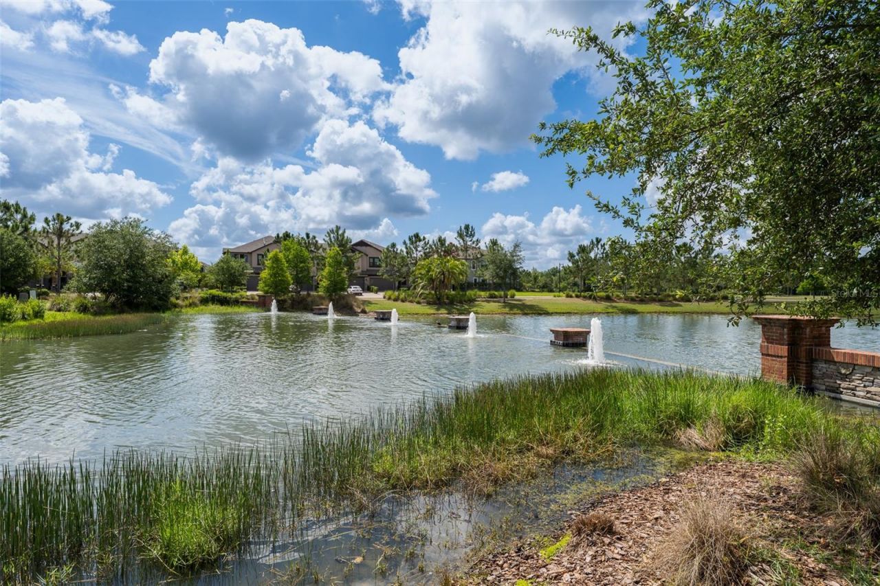 4549 Ancona Way , Wesley Chapel, FL 33543 Photo