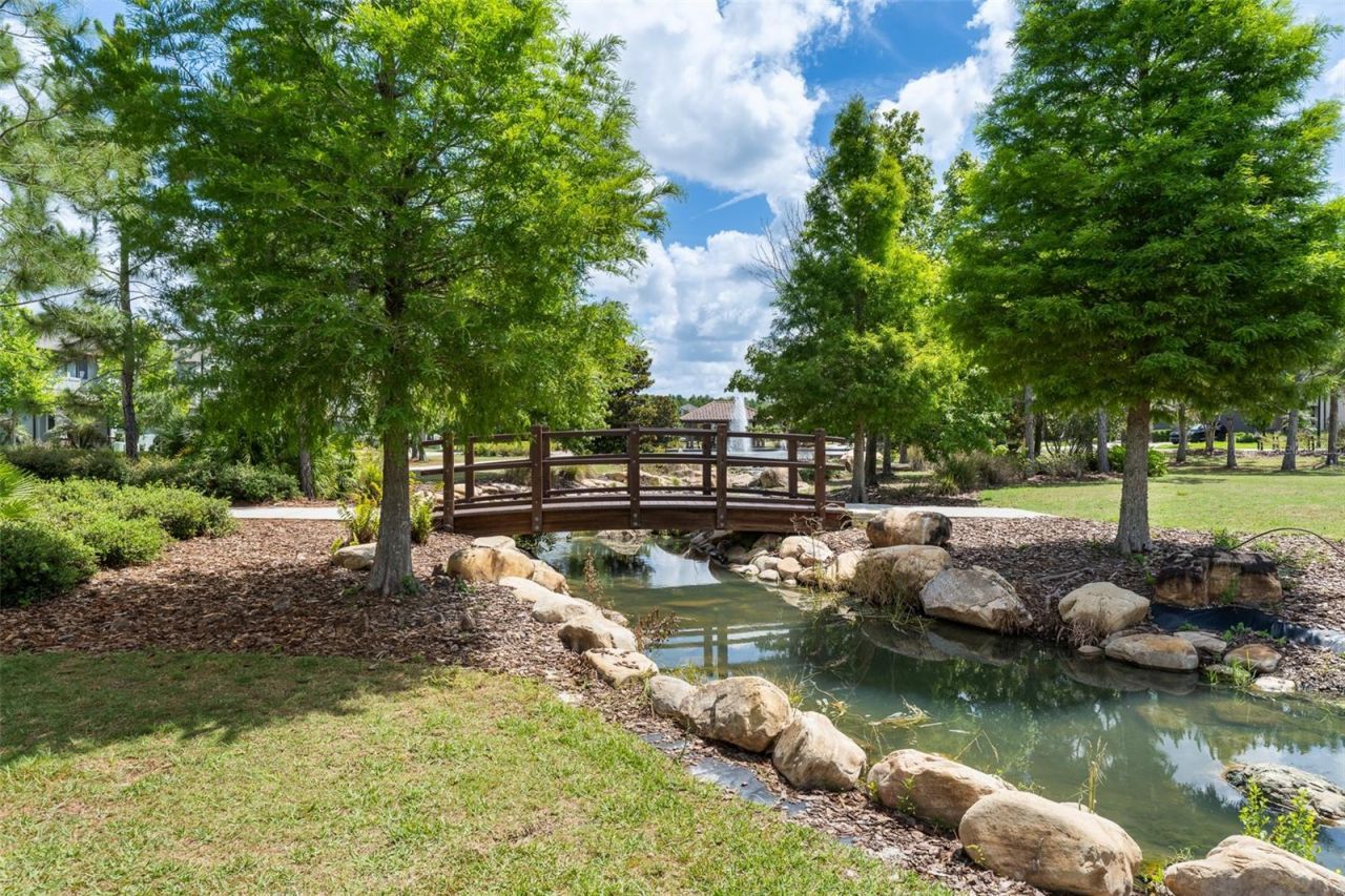 4549 Ancona Way , Wesley Chapel, FL 33543 Photo