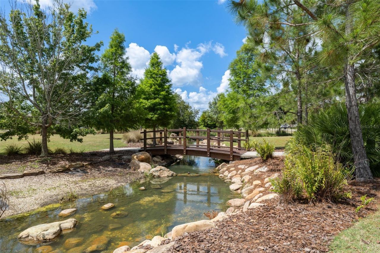 4549 Ancona Way , Wesley Chapel, FL 33543 Photo