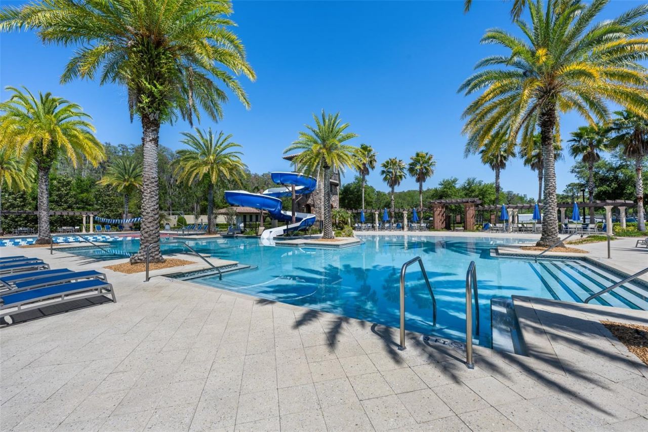 4549 Ancona Way , Wesley Chapel, FL 33543 Photo
