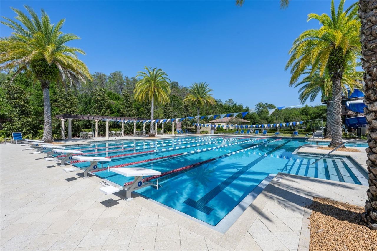 4549 Ancona Way , Wesley Chapel, FL 33543 Photo