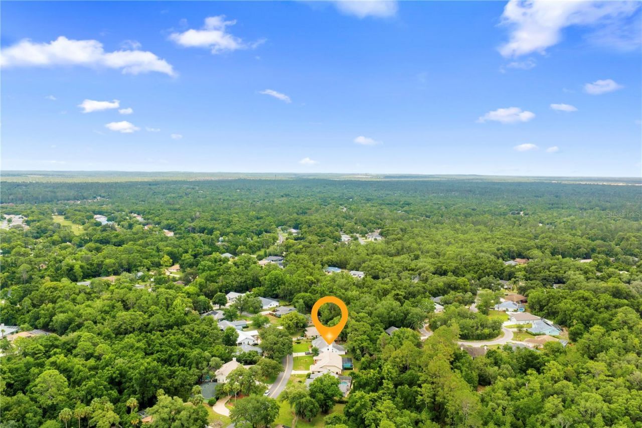 42 Pine Drive, Homosassa, FL 34446 Photo