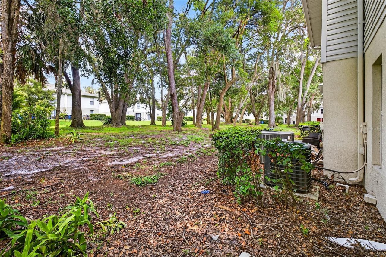 4656 Ashburn Square Drive, Tampa, FL 33610 Photo