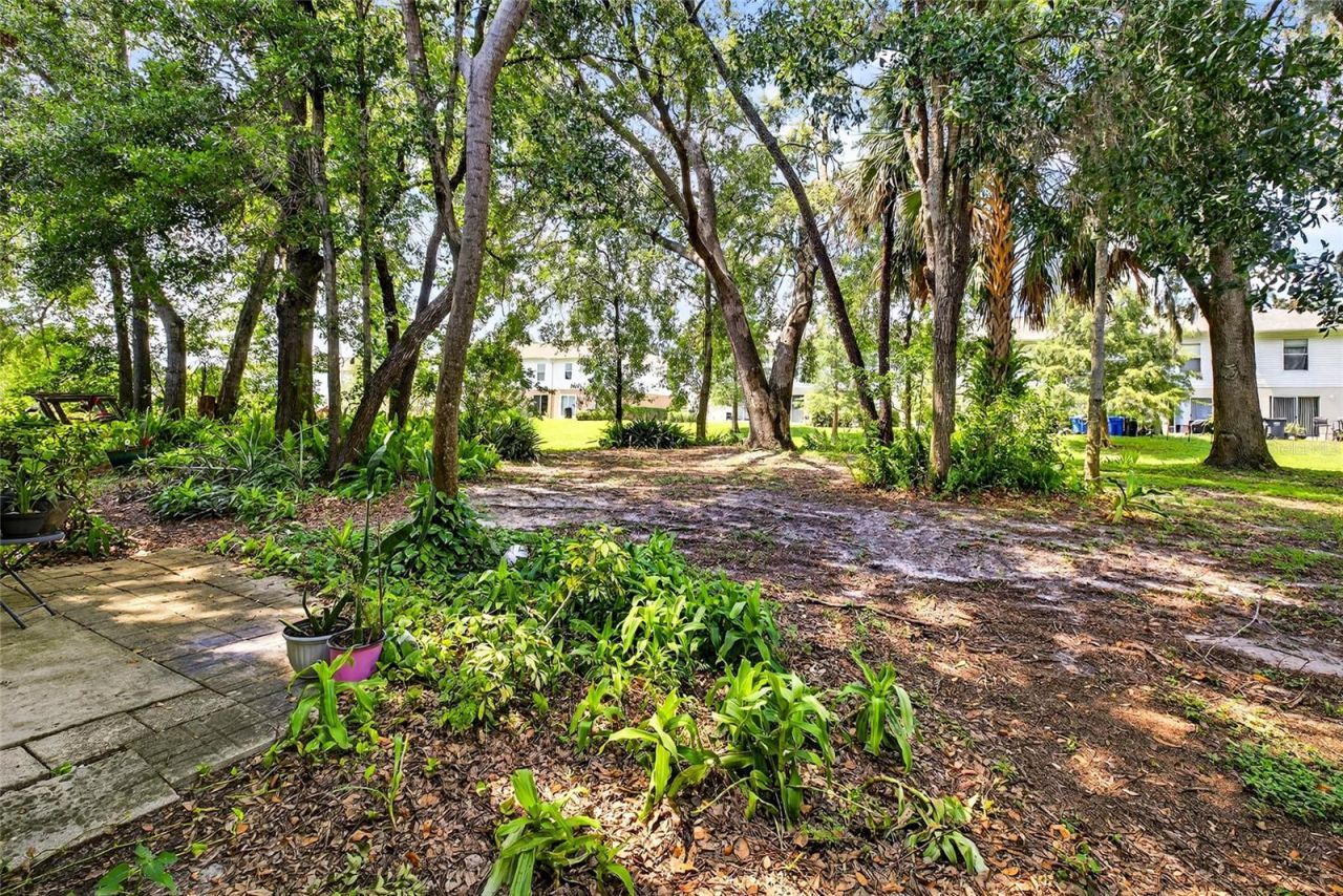 4656 Ashburn Square Drive, Tampa, FL 33610 Photo