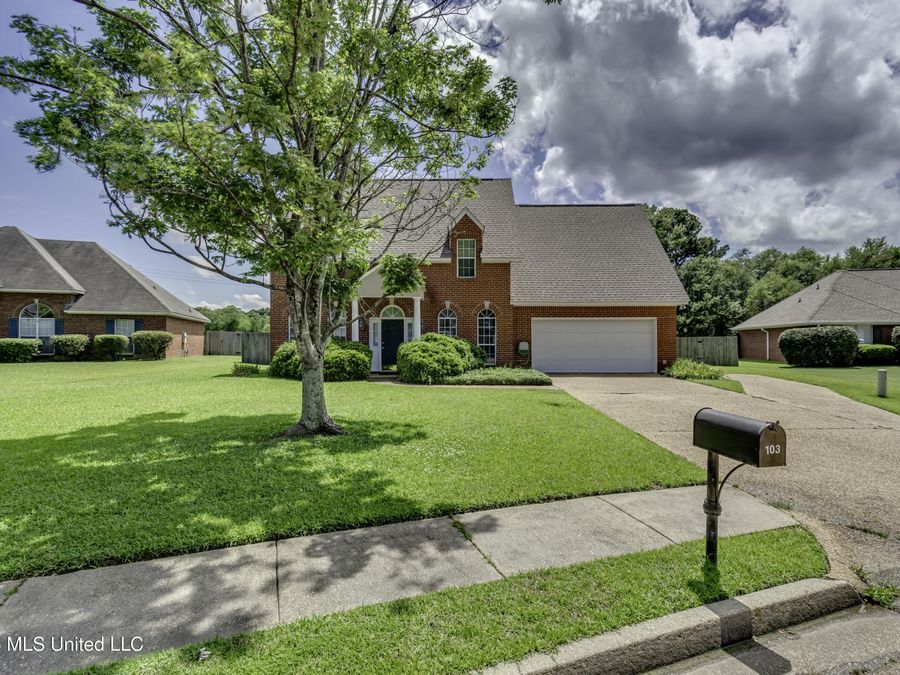 Property Image 13