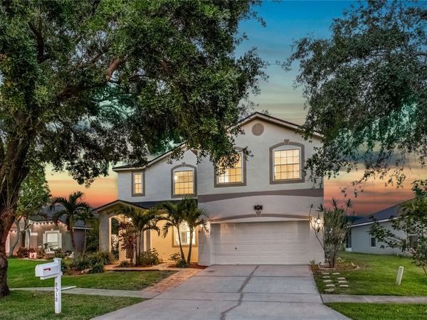 8518 TIDAL BAY LANE , TAMPA, FL 33635