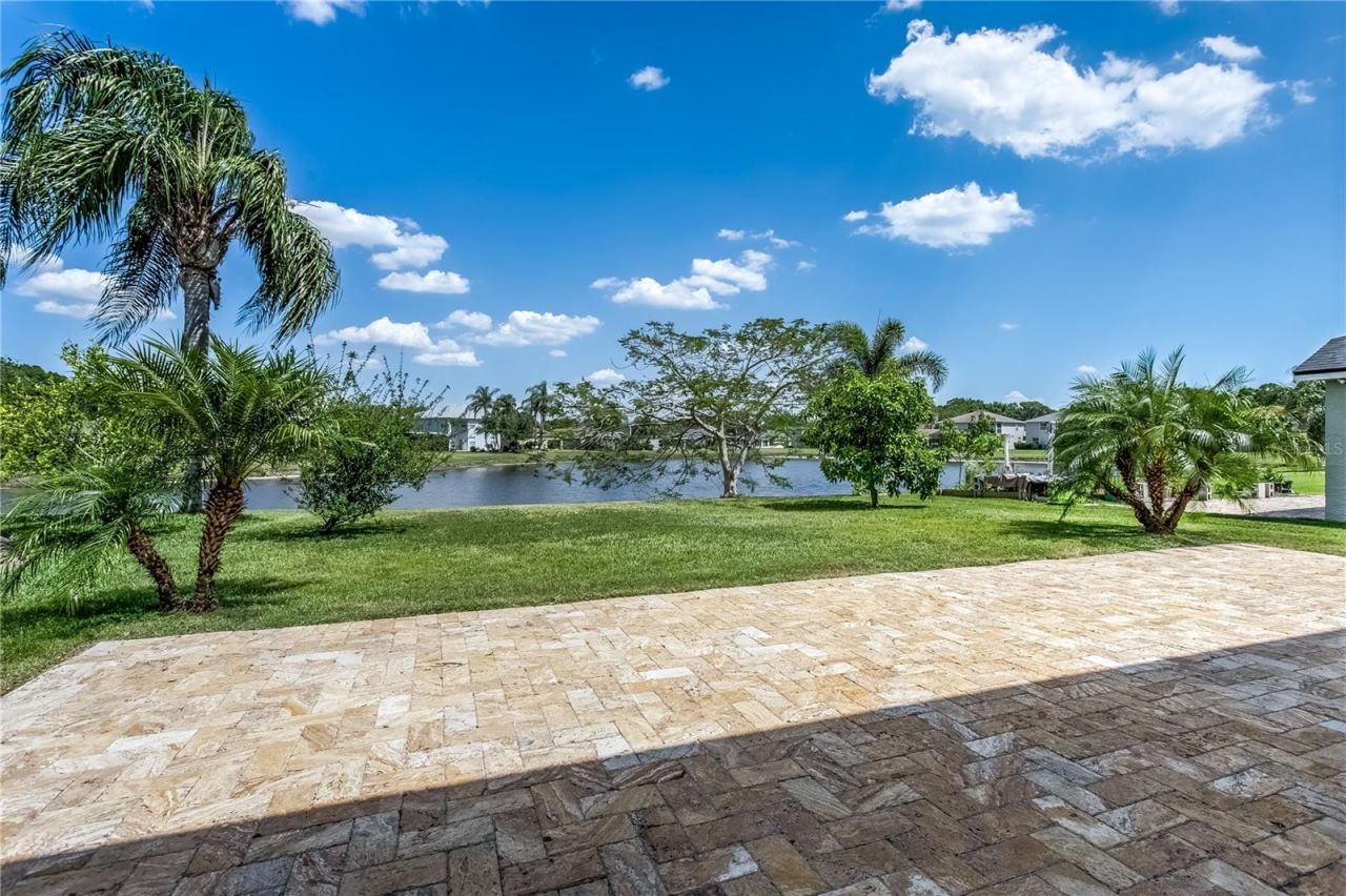 8518 Tidal Bay Lane, Tampa, FL 33635 Photo