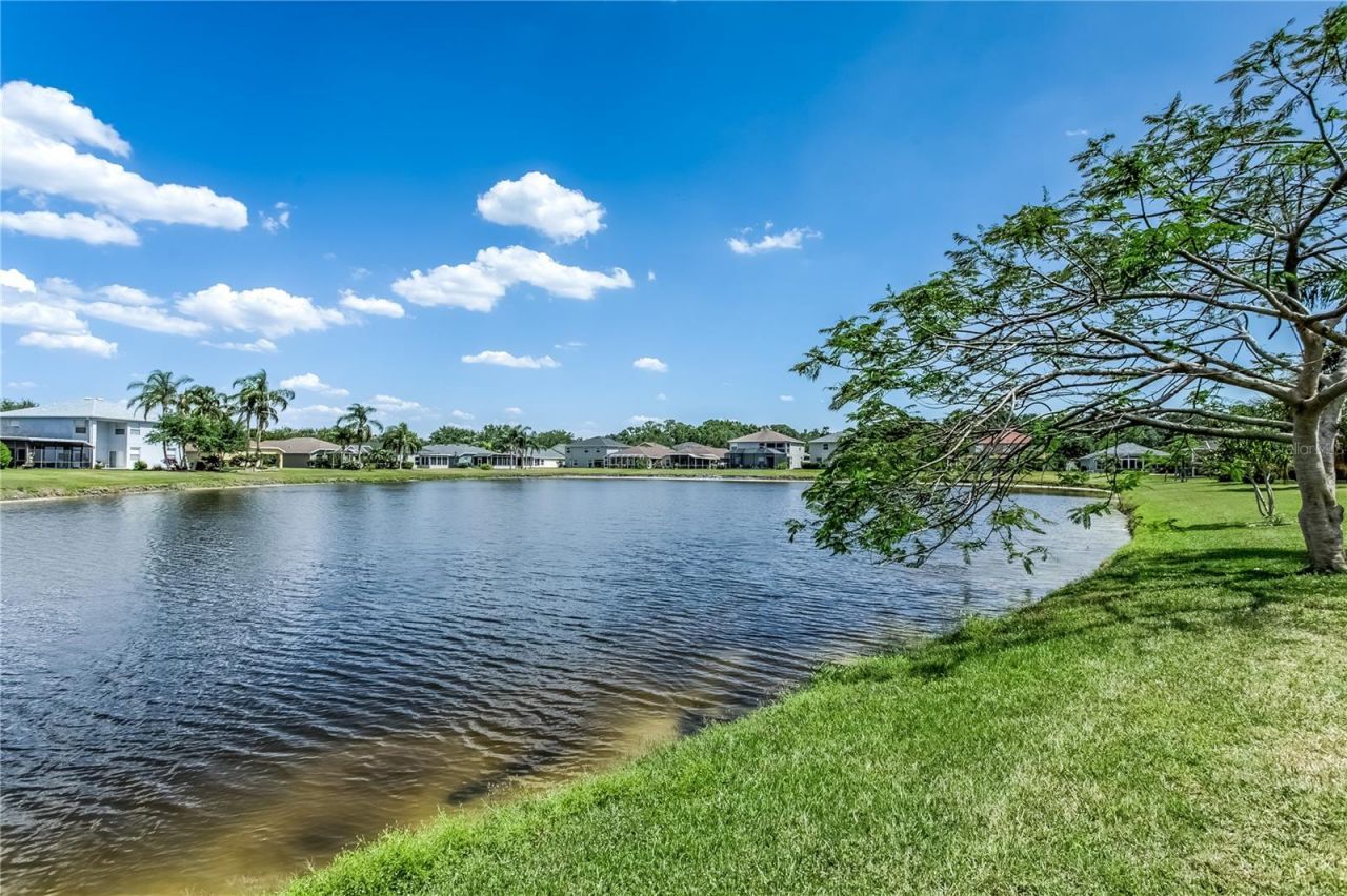 8518 Tidal Bay Lane, Tampa, FL 33635 Photo