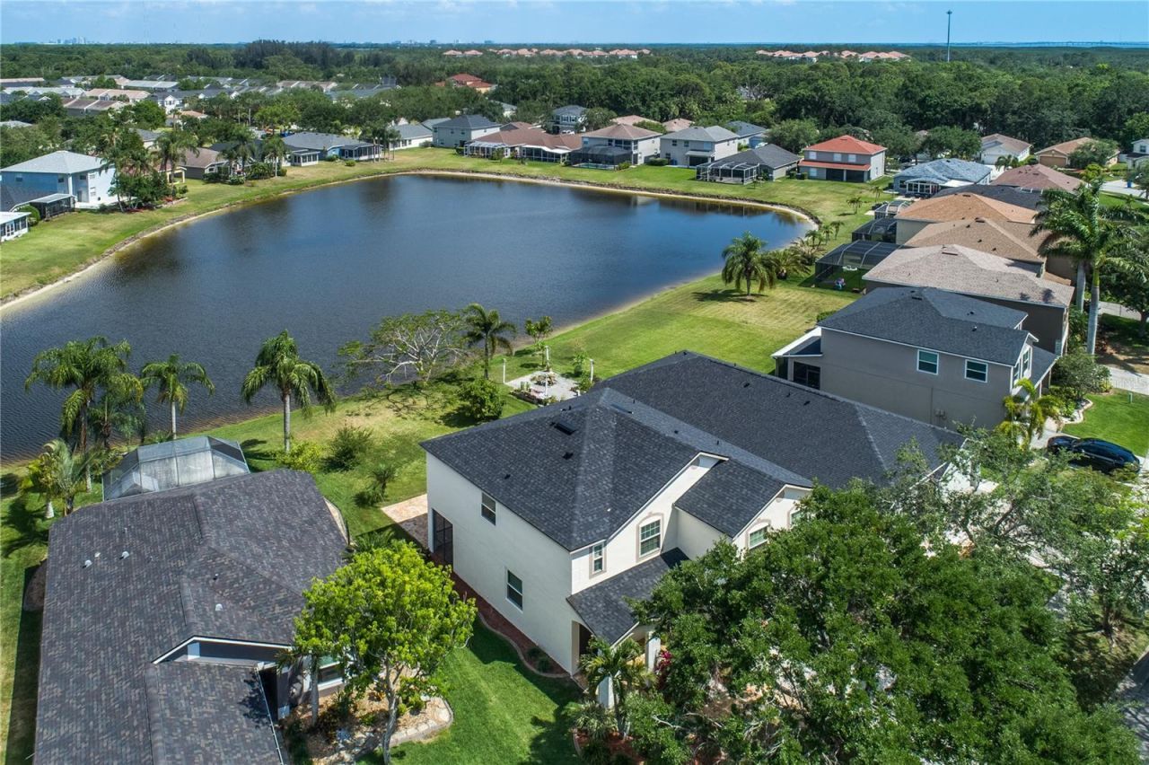8518 Tidal Bay Lane, Tampa, FL 33635 Photo