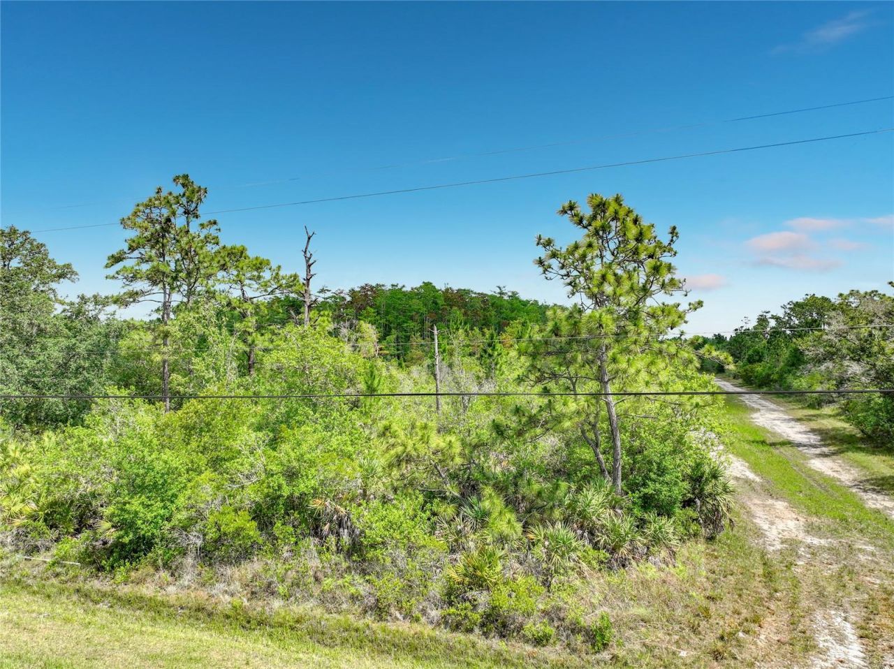 00 Paddock Street , Orlando, FL 32833 Photo