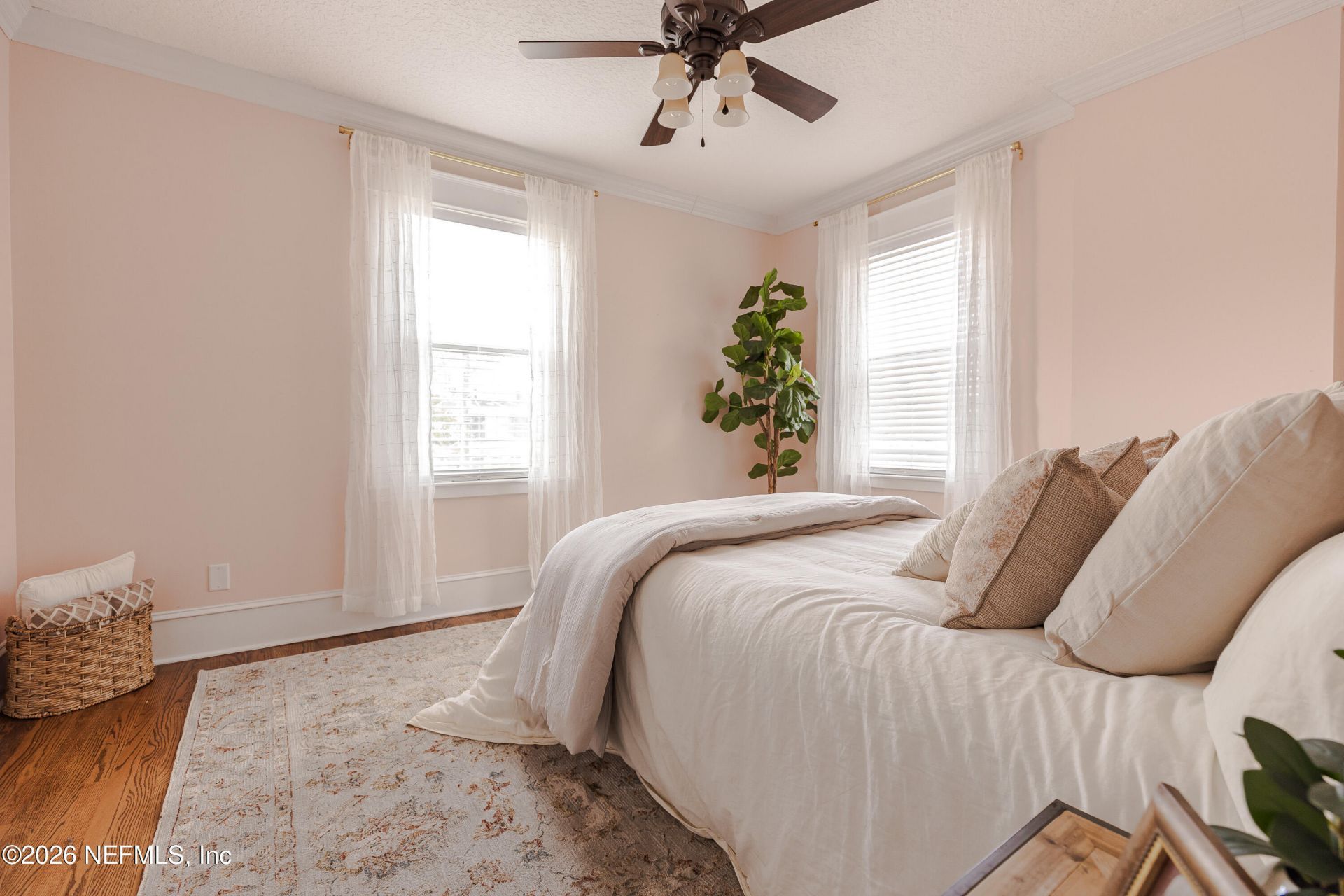2598 Herschel Street, Jacksonville, FL 32204 Photo