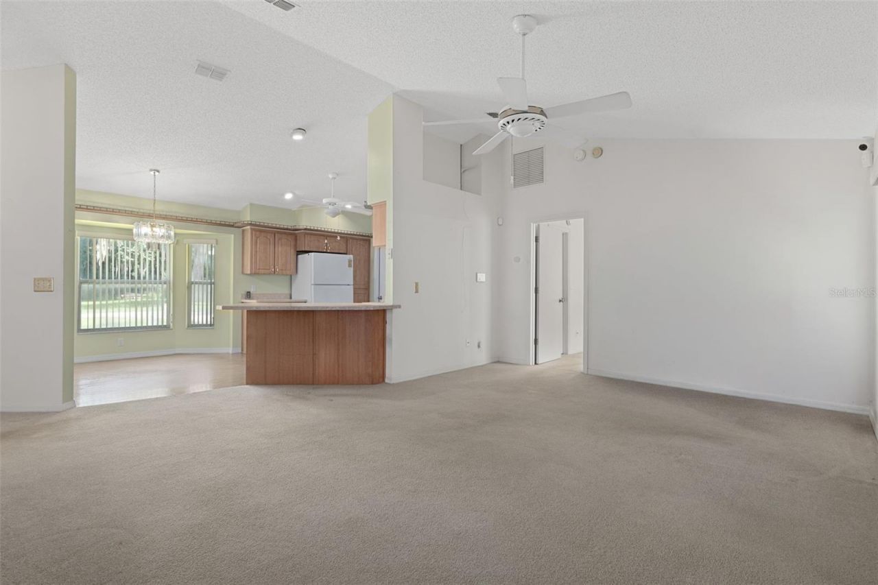 2472 Cr 447, Lake Panasoffkee, FL 33538 Photo