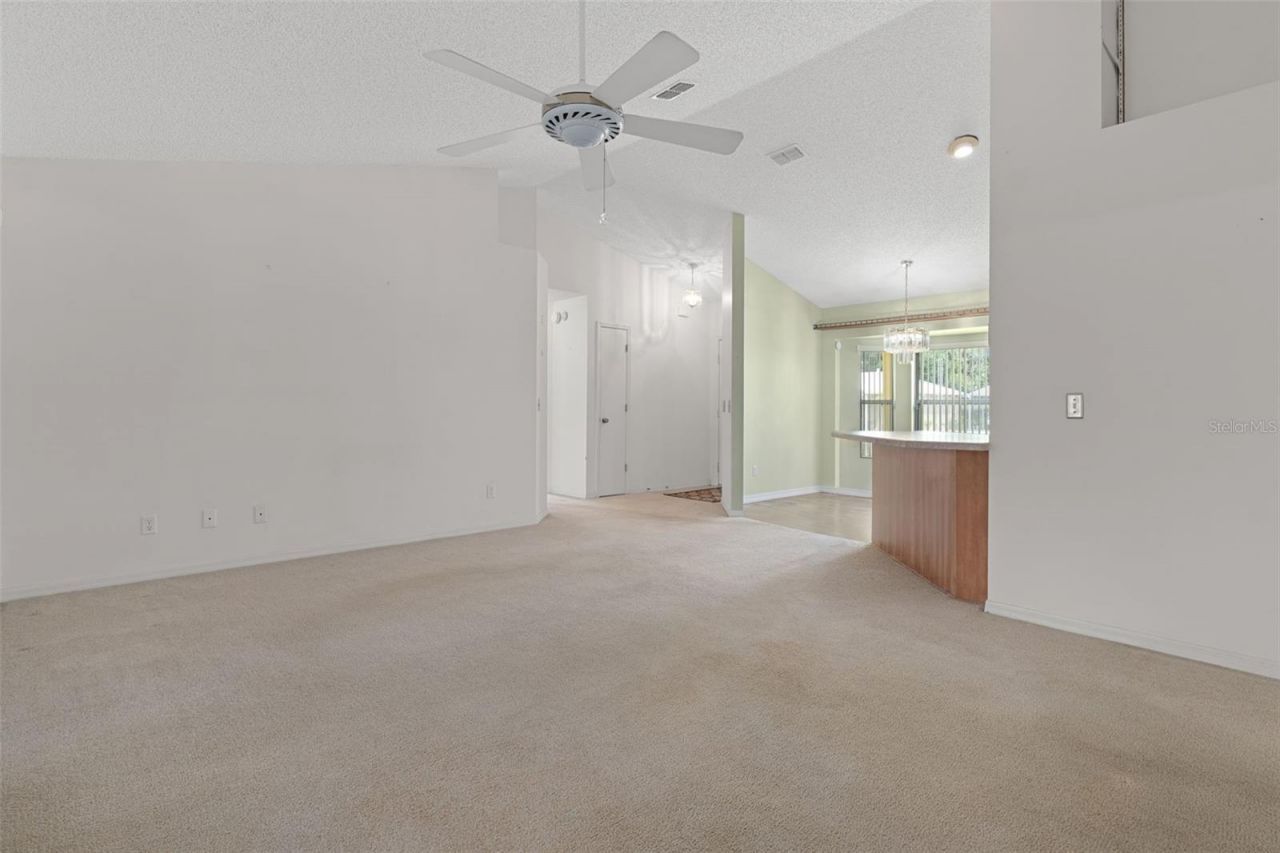 2472 Cr 447, Lake Panasoffkee, FL 33538 Photo