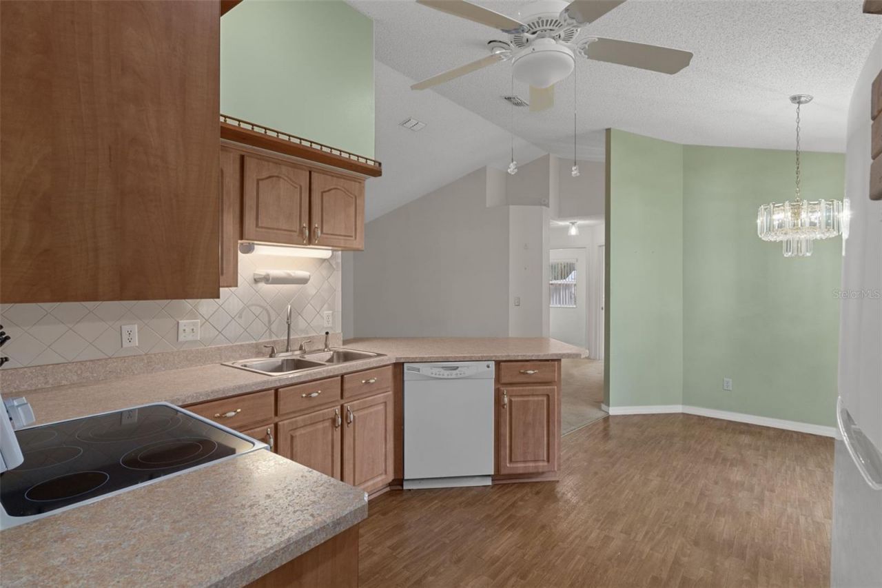 2472 Cr 447, Lake Panasoffkee, FL 33538 Photo