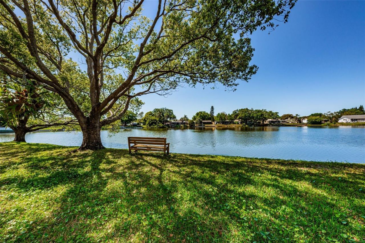 3835 Lighthouse Way, New Port Richey, FL 34652 Photo