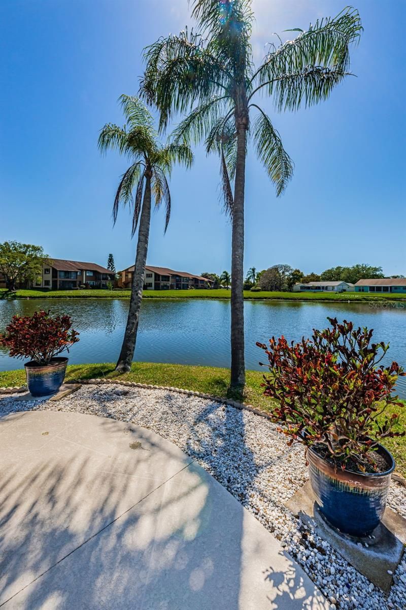 3835 Lighthouse Way, New Port Richey, FL 34652 Photo