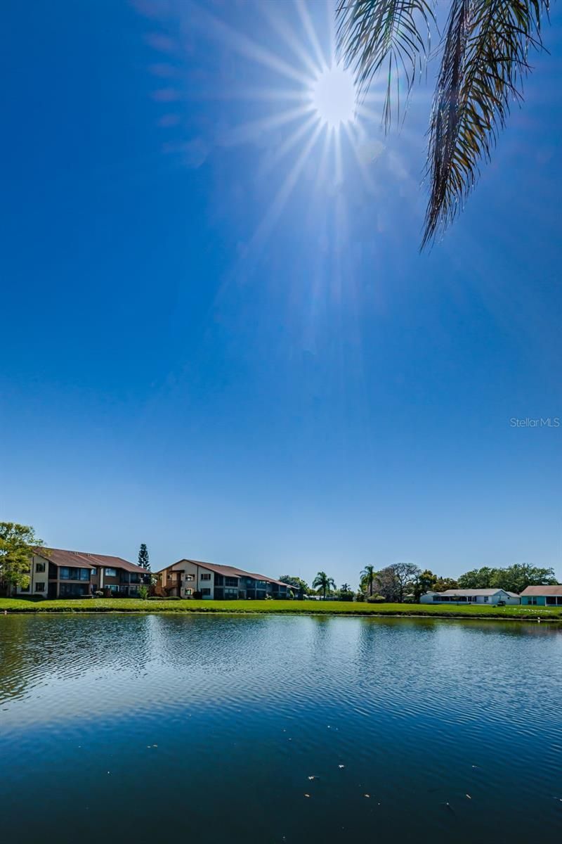 3835 Lighthouse Way, New Port Richey, FL 34652 Photo