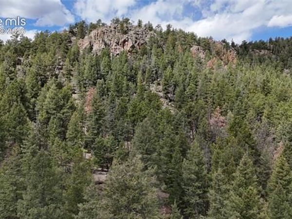 4943 County Road 11 , Florissant, CO 80816