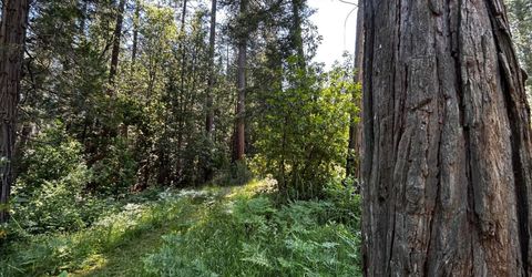 12215 Poke Pl, Nevada City, CA 95959 Photo