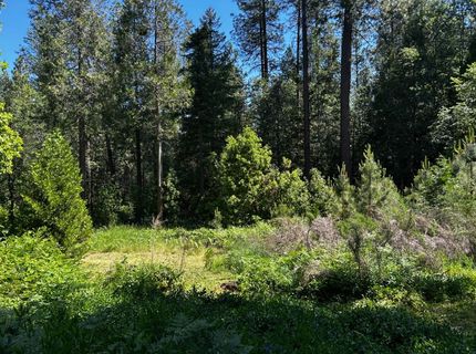 12215 Poke Pl, Nevada City, CA 95959 Photo