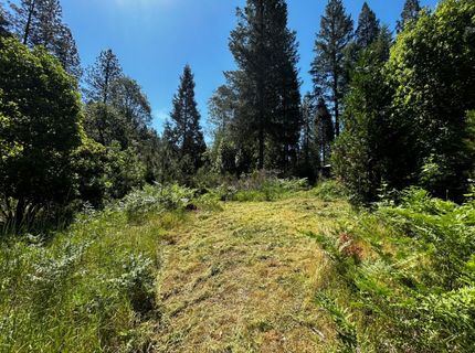 12215 Poke Pl, Nevada City, CA 95959 Photo