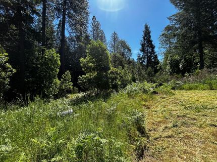 12215 Poke Pl, Nevada City, CA 95959 Photo