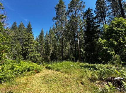 12215 Poke Pl, Nevada City, CA 95959 Photo
