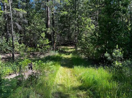 12215 Poke Pl, Nevada City, CA 95959 Photo