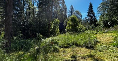 12215 Poke Pl, Nevada City, CA 95959 Photo