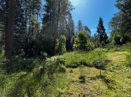 12215 Poke Pl, Nevada City, CA 95959 Photo