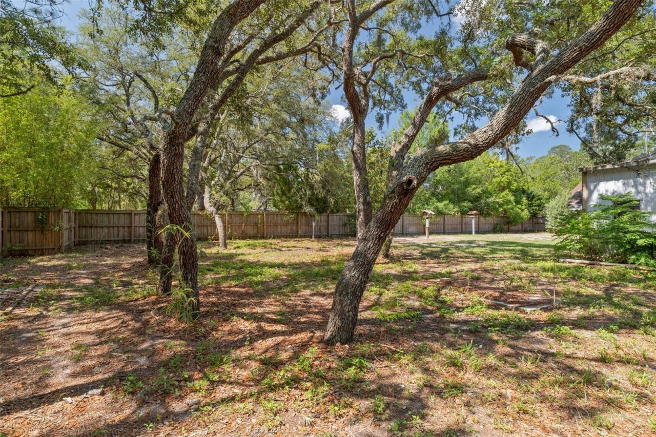 3394 Memory Lane, Spring Hill, FL 34606 Photo