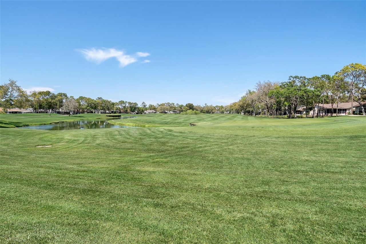 7483 Bridgewater Lane, Spring Hill, FL 34606 Photo