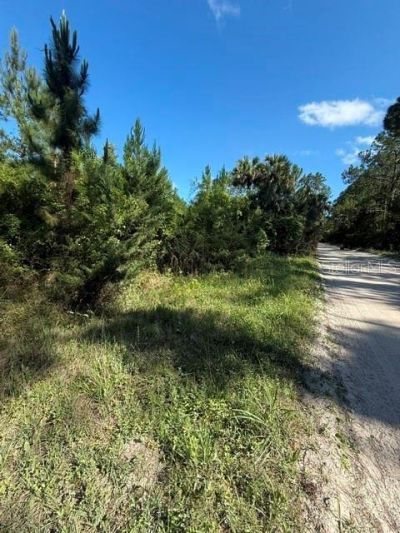 County Road 75 , Bunnell, FL 32110 Photo