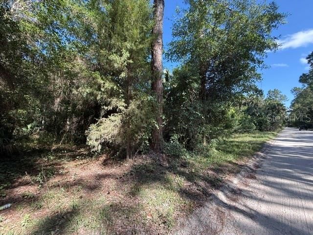 County Road 75 , Bunnell, FL 32110 Photo