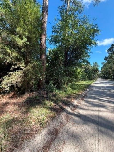 County Road 75 , Bunnell, FL 32110 Photo