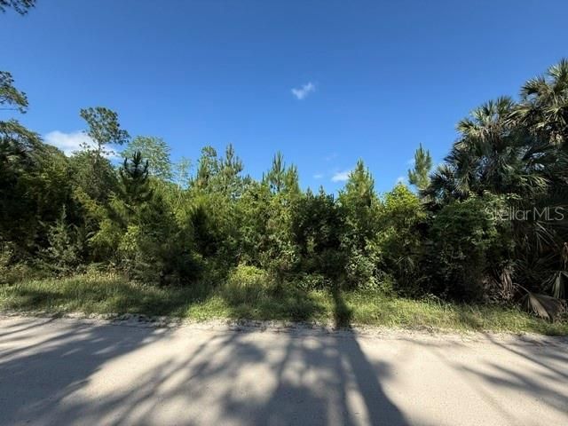 County Road 75 , Bunnell, FL 32110 Photo