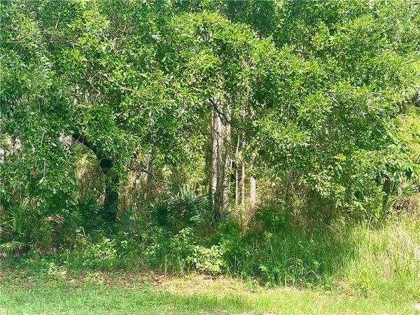 118 Forney Johnston Drive , Dauphin Island, AL 36528