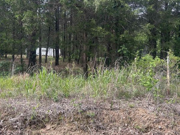Pleasant Plains, AR 72568
