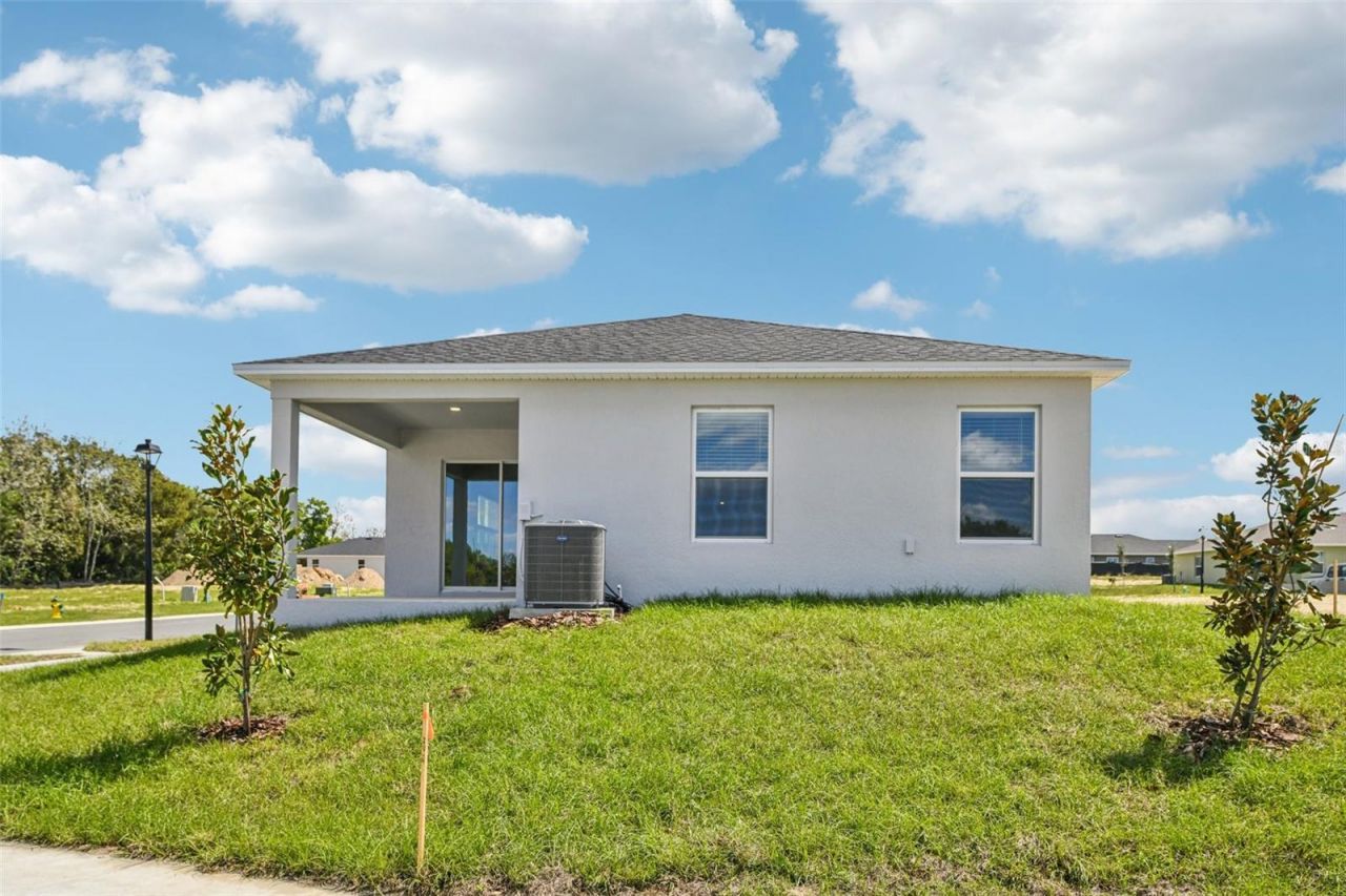 20404 Lavender Bloom Loop , Mount Dora, FL 32757 Photo