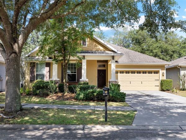 15841 STARLING WATER DRIVE, LITHIA, FL 33547