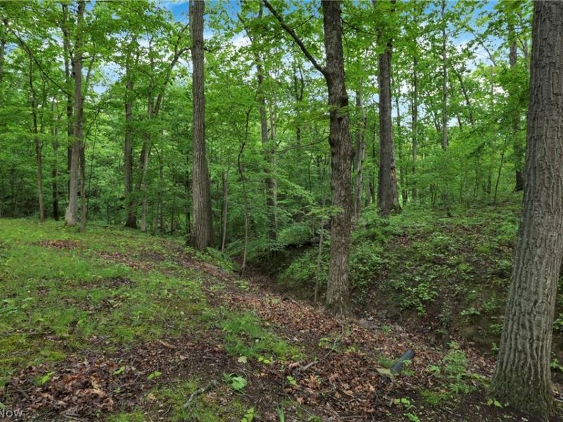 60467 Apache Lane , Senecaville, OH 43780 Photo 16