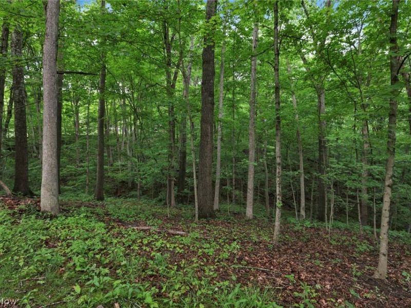 60467 Apache Lane, Senecaville, OH 43780 Photo 46