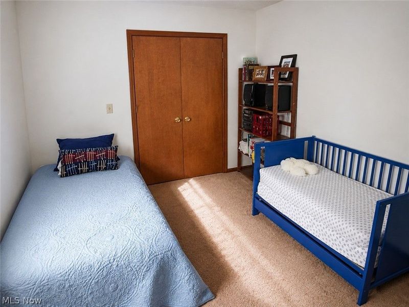 6155 Gibson Road, Canfield, OH 44406 Photo 36