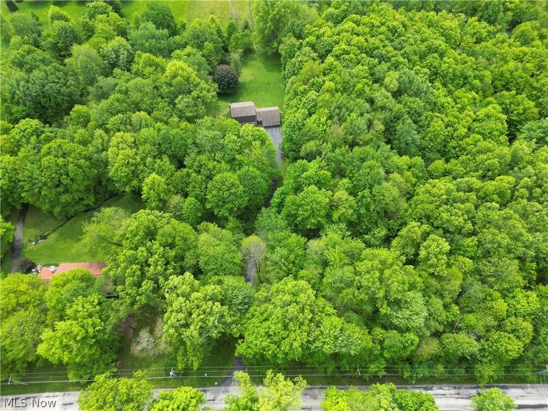 6155 Gibson Road , Canfield, OH 44406 Photo 41