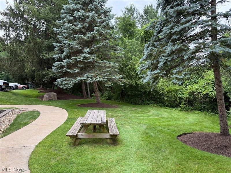 255 Park Place , Chagrin Falls, OH 44022 Photo 7
