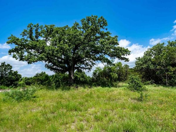 TBD Fm 203 , Glen Rose, TX 76043