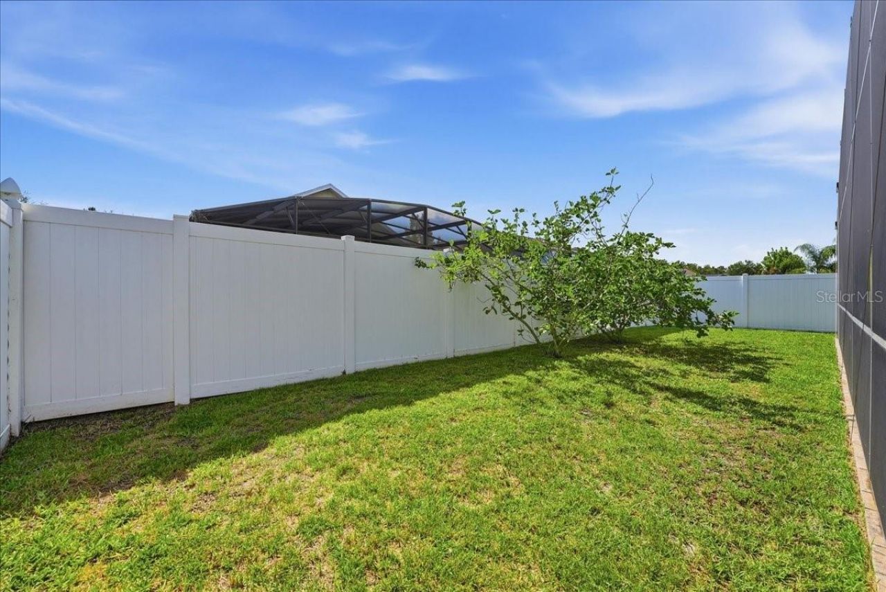 3216 Bayflower Avenue, Harmony, FL 34773 Photo
