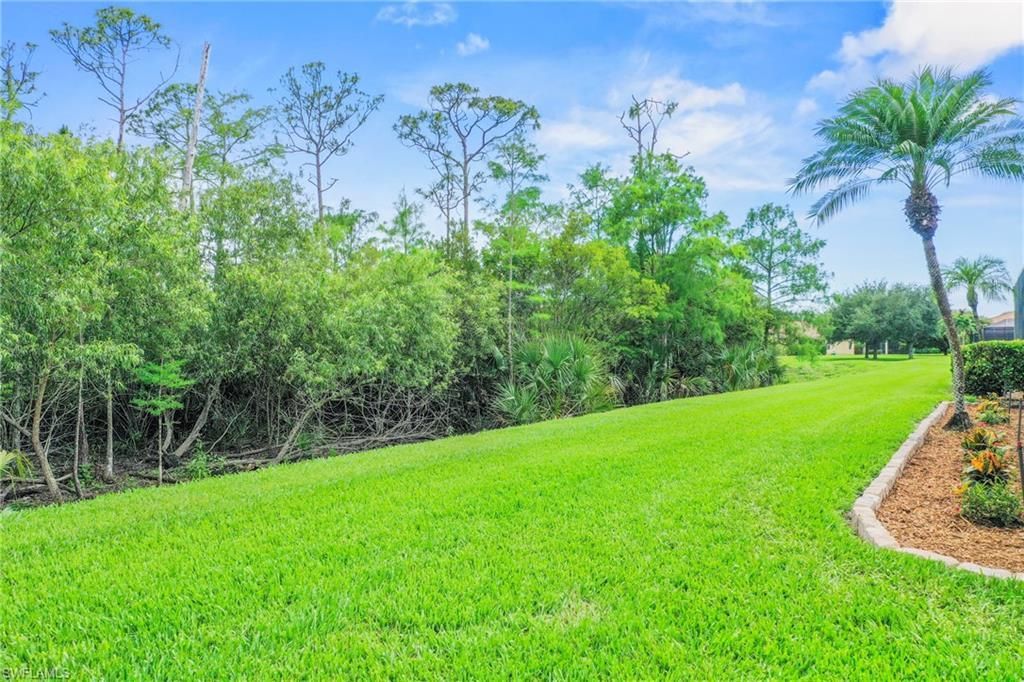 13871 Farnese Dr , Estero, FL 33928 Photo