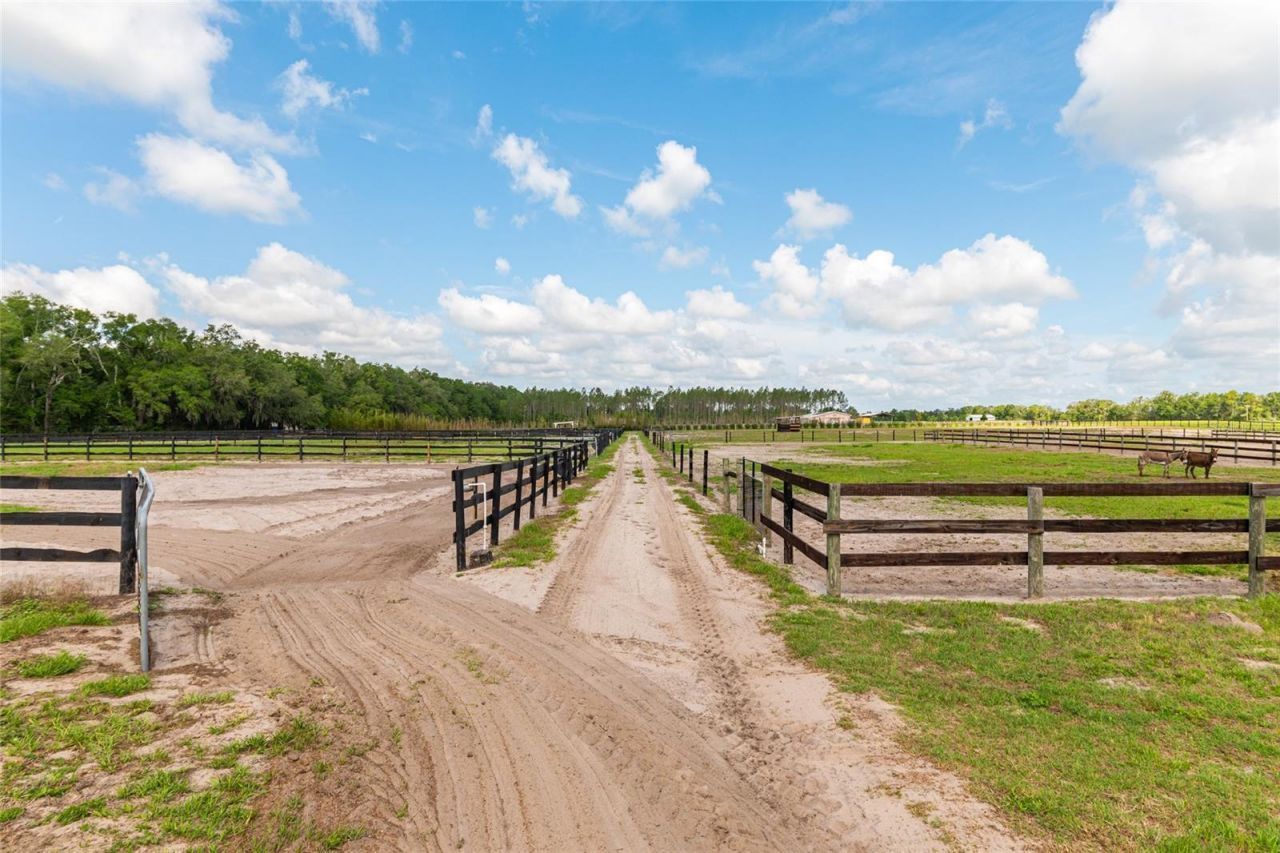 2009 SW 20th Street, Bell, FL 32619 Photo