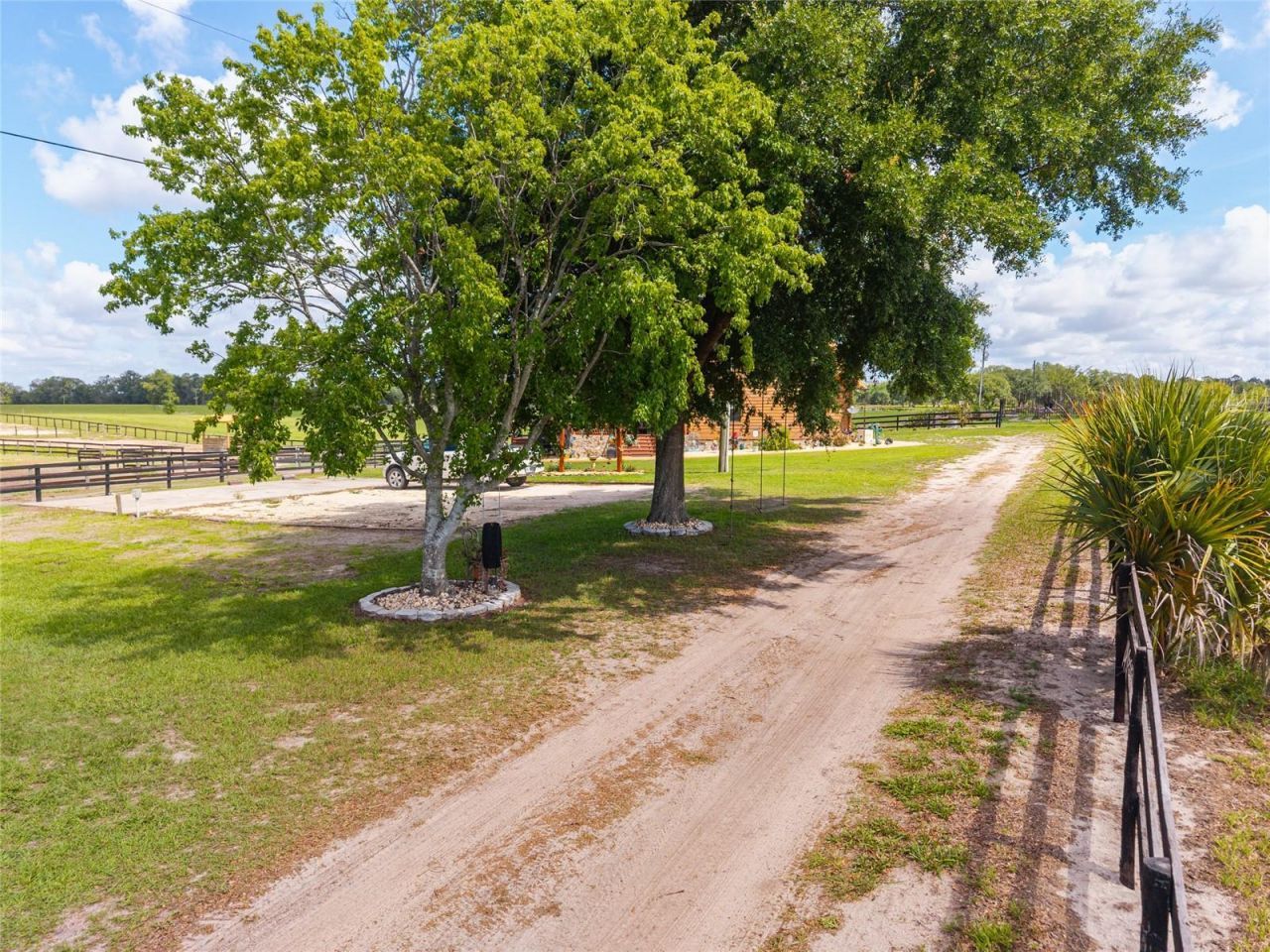 2009 SW 20th Street, Bell, FL 32619 Photo